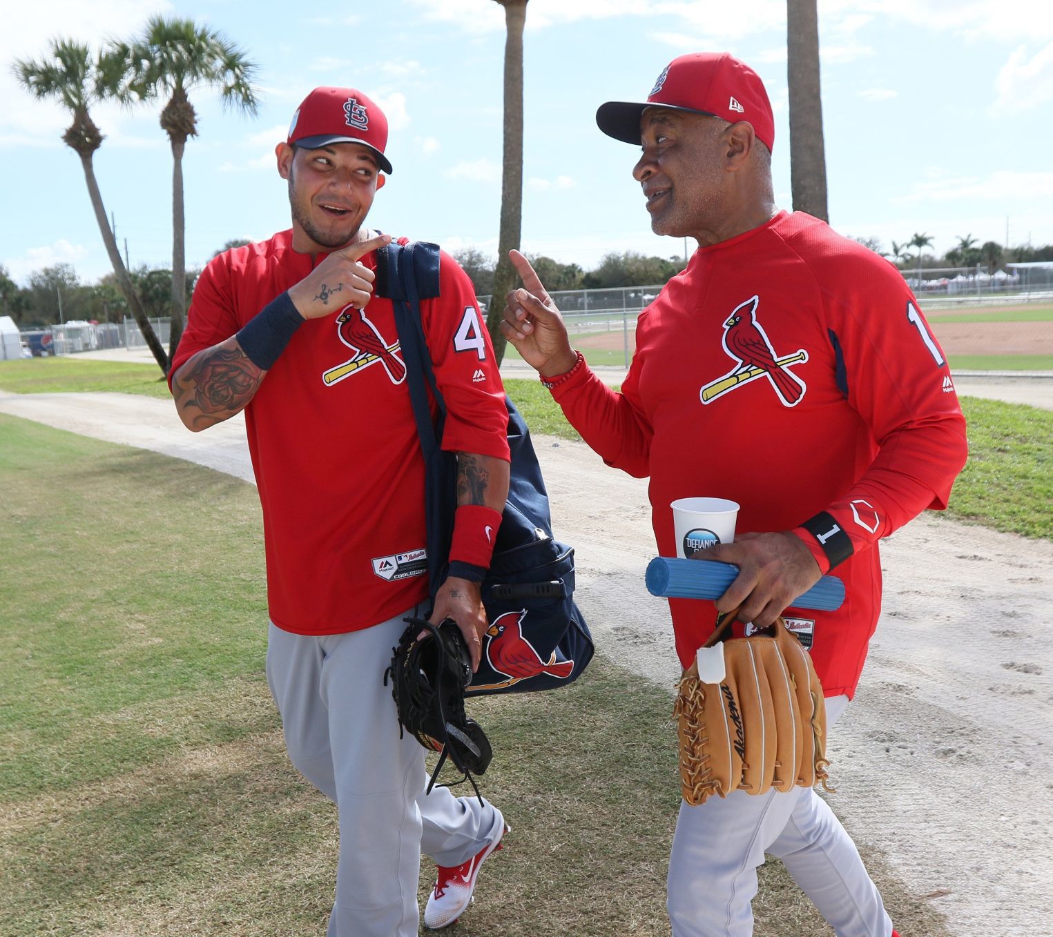 Cardinals spring training